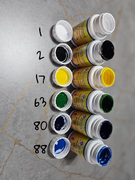 DerlyColor Likit Rötuş Boya