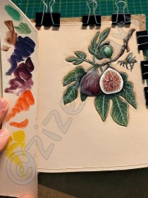 DerlyColor Likit Rötuş Boya