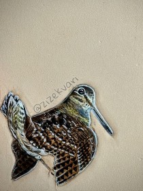 DerlyColor Likit Rötuş Boya